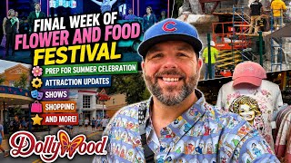 Dollywood Summer Celebration Prep Has Started! + Night Flight Expedition Update