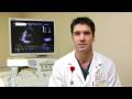 Cardiology Information : What Is Cardiovascular Disease?