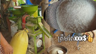 ម៉ូទ័រកិនស្រូវ ខ្នាតតូច លក្ខណៈគ្រួសារ - Rice Mill