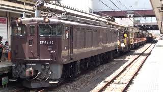 EF64 37+ロンチキB編成 八王子発車(2010.8.11)