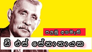 ඩී එස් සේනානායක මහතා | D. S Senanayake