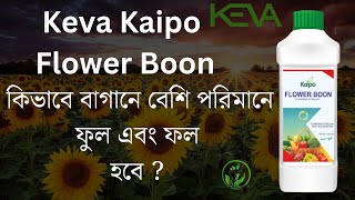 গাছের ফুল ও ফল বাড়াতে Kaipo Flower Boon Keva Industries ব্যবহার করুন!