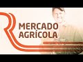 assista o ric rural ao vivo 09 02 2025