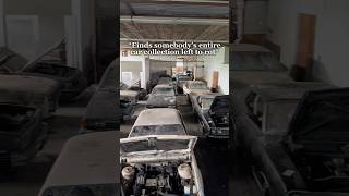 We Found A Fully Abandoned Car Collection