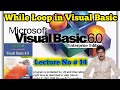 while loop with example in visual basic 6.0