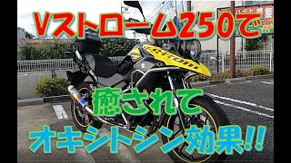 Vストローム250【癒し系バイク！オキシトシン効果あり!!】【50代 転職 起業 定年 リストラ 早期退職制度】