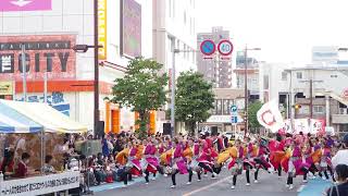 【４K】朝霞鳴子一族め組★第17回浦和よさこい/東口A会場（駅側）/2022.07.24 /OLYMPUS