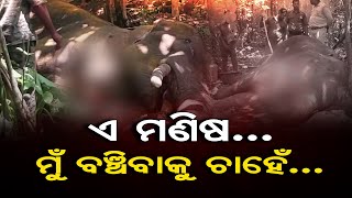 ଏ ମଣିଷ... ମୁଁ ବଞ୍ଚିବାକୁ ଚାହେଁ...  | Odisha Reporter