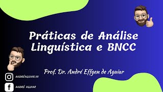 PRÁTICA DE ANÁLISE LINGUÍSTICA E BNCC