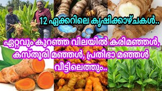 12 ഏക്കർ കൃഷി/ഒറിജിനൽ കരിമഞ്ഞൾ, കസ്തൂരിമഞ്ഞൾ, പ്രതിഭാ മഞ്ഞൾ ഓർഡർ ചെയ്താൽ വീട്ടിലെത്തും