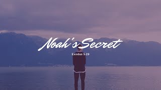 Noah's Secret