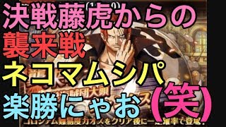 『トレクル』襲来戦シャンクス！決戦藤虎からの襲来戦！ネコマムシパ