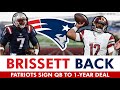 Patriots SIGN Jacoby Brissett During NFL Free Agency! New England Patriots News