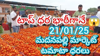 21/01/25 Madanapalle Tomato Market Price Today || Today Tomato Market Rate In Madanapalle #today