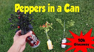 Pepper in a Can Challenge Update and Giveaway