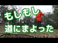 みよし風土記の丘（広島県三次市）