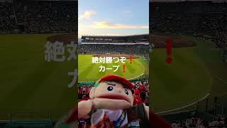 クライマックスシリーズファイナル　第2戦　カープ外野ビジター席 #carp #広島カープ #カープ　#広島東洋カープ　#大瀬良大地　#新井貴浩