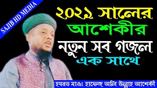 ২০২১ সালের আশেকীর নতুন সব গজল এক সাথে, Hafez Oli Ullah Asheki হাফেজ অলি উল্লাহ আশেকী