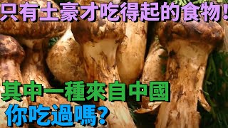 9種只有土豪才吃得起的昂貴食物！其中一種來自中國，你吃過嗎？【奇聞異評】#奇聞異事 #新聞