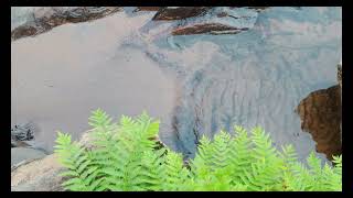 Rivers & Roads | The Wild & Scenic Chattooga River