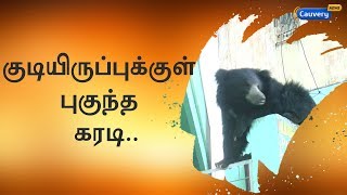 குடியிருப்புக்குள் புகுந்த கரடி.. 8 மணி நேர போராட்டத்திற்கு பின் பிடிப்பட்டது..!