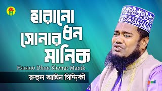 Ruhul Amin Siddiqui - Harano Dhon Sonar Manik | হারানো ধন সোনার মানিক | Bangla Islamic Song