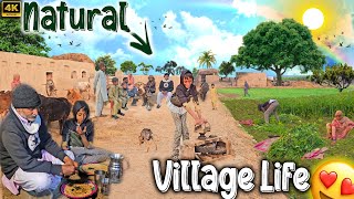 Aj To Sab Dhaki Ga 😄| Natural Village Life 😍 | Woman Hardwork In Village 🤗 Traditional Life 💯| 4K