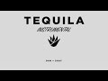 DAN X SHAY TEQUILA INSTRUMENTAL