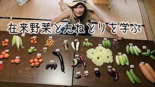 【タネの学校】夏の在来野菜が勢揃い/味わいながら種取りを学ぼう