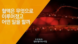 혈액은 무엇으로 이루어졌고 어떤 일을 할까 - (2010.4.22_330회 방송)_만사혈통, 혈관 고속도로를 지켜라!