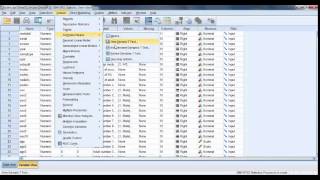 Two Sample T Test in SPSS