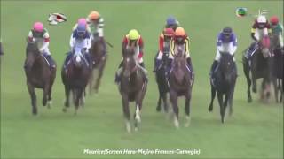 Tenno Sho(Autumn) 2016 - Maurice