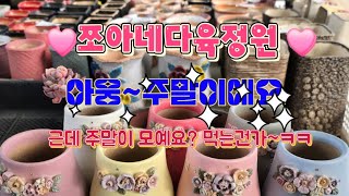 🩷쪼아네다육정원🩷 라이브 방송