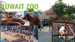 KUWAIT ZOO | Kuwait