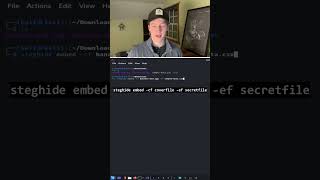 How to Hide Secret Data in Images (Steganography)