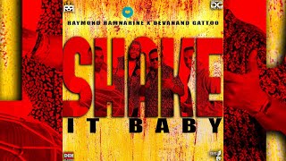 Shake it Baby | Raymond Ramnarine X Devanand Gattoo (chutney 2023 songs)