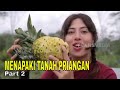 MENAPAKI TANAH PRIANGAN | JEJAK PETUALANG (16/03/24) Part 2