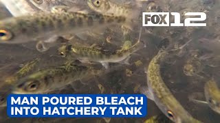 Man accused of pouring bleach into Oregon hatchery tank, killing nearly 18K young salmon