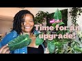 Repot with me | Anthurium Veitchii + diy nursery pots