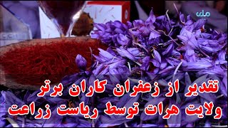 تقدیر از زعفران کاران برتر ولایت هرات توسط معین مسلکی وزارت زراعت در هرات