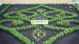 Roosendaal Landscaping BV Daktuinen Tuinontwerp Duurzaam Advies en Realisatie