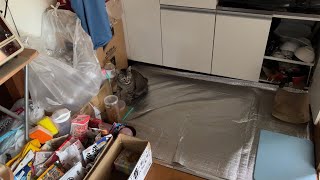 やっぱり言葉わかってるだろ居候の猫