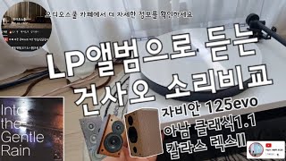 [건사오소리비교] 자비안125evo,칼라스 렉스ll, 아남 클래식1.1