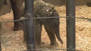 Midday Webcast: October 3, 2013