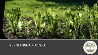 5 GETTING UNDRESSED - 11 Things Your Massage Therapist Wants You to Know