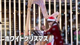 【グランドハープ】「ホワイトクリスマスWhiteChristmas 」2024東京ドイツ村