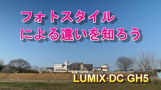 フォトスタイルによる色味、色合いの相違（LUMIX DC GH5 フォトスタイルの比較撮影）4K