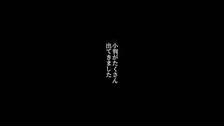 朗読―花咲かじじい1-3楠山正雄2024/04/16#朗読 #日本語 #低音 #ナレーション #セリフ #ボイス #イケボ #声 #教養 #青空文庫 #楠山正雄 #文学 #物語 #shorts #昔話