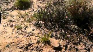 Bruce Knight at the Menindee Lakes with Ben Beeton EVIDENCE OF ABORIGINAL MIDIN