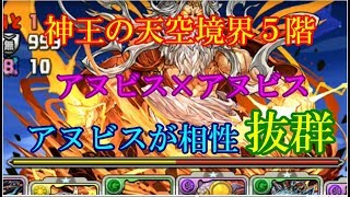 【ゆっくり解説】超簡単！！　神王の天空境界5階　アヌビス×アヌビス　ノーコン